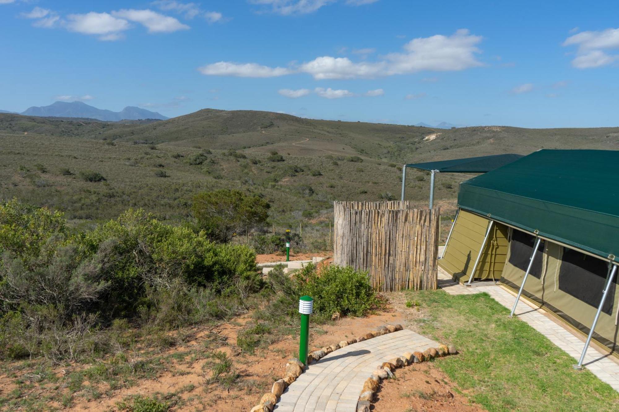 Hartenbos Private Game Lodge Eksteriør billede