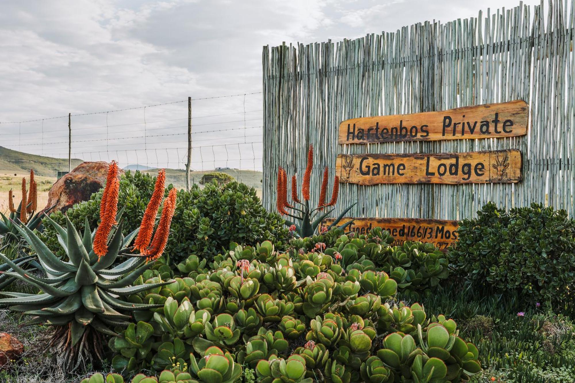 Hartenbos Private Game Lodge Eksteriør billede